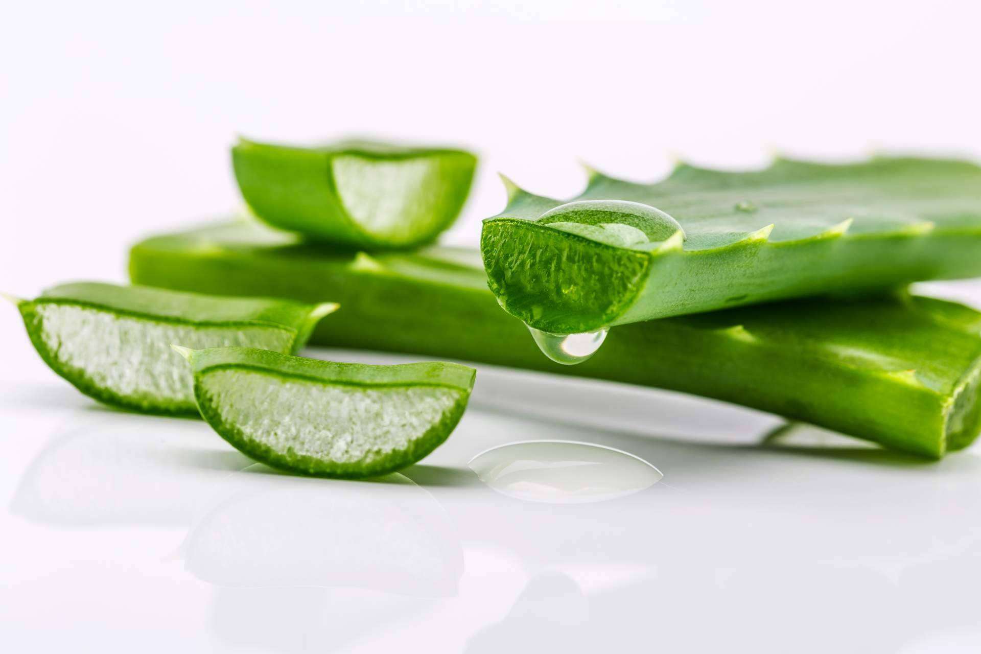 Cuáles son los beneficios del aloe vera, por Territorio Aloe