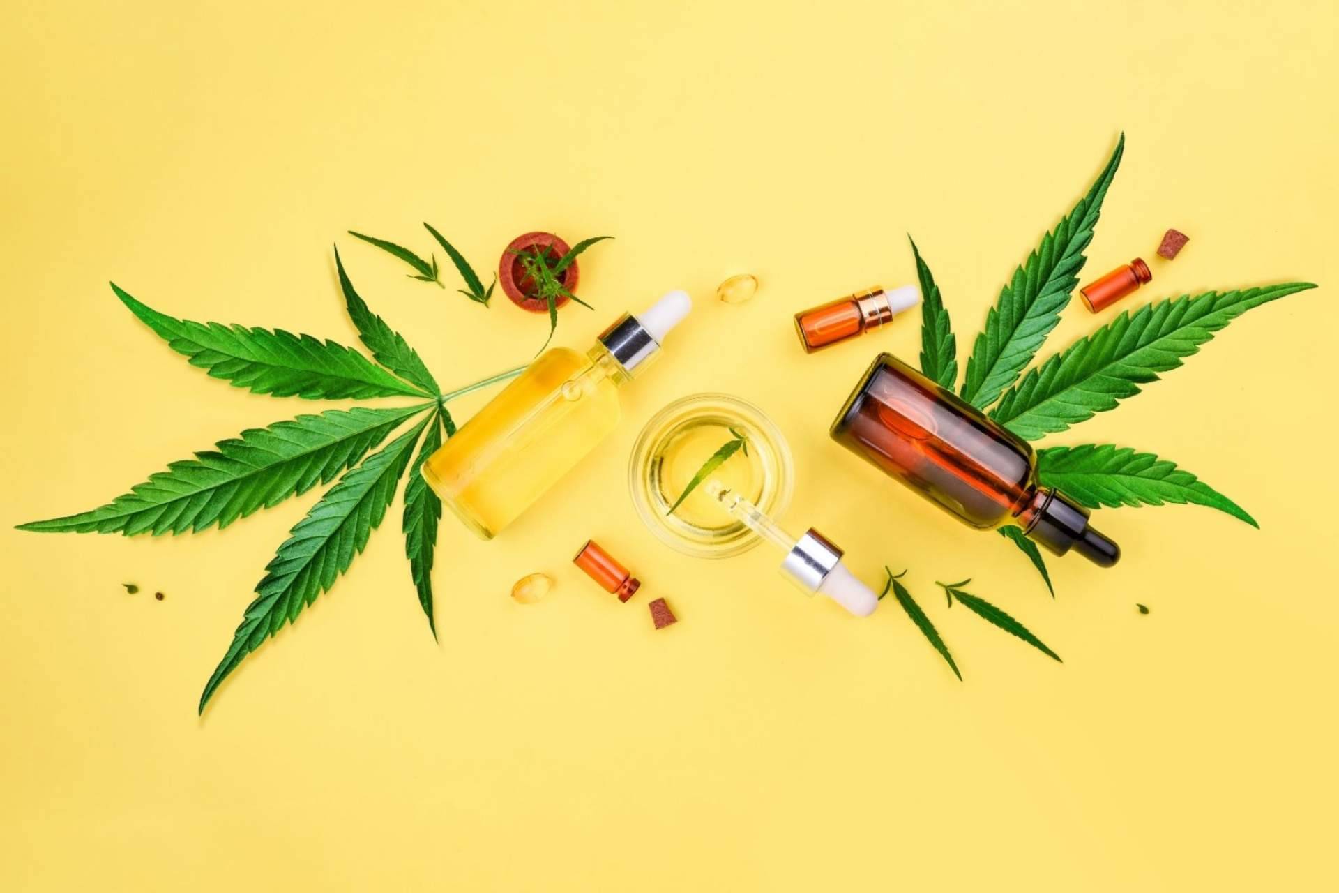 De Pata Verde: ¿Qué es el CBD o cannabidiol?