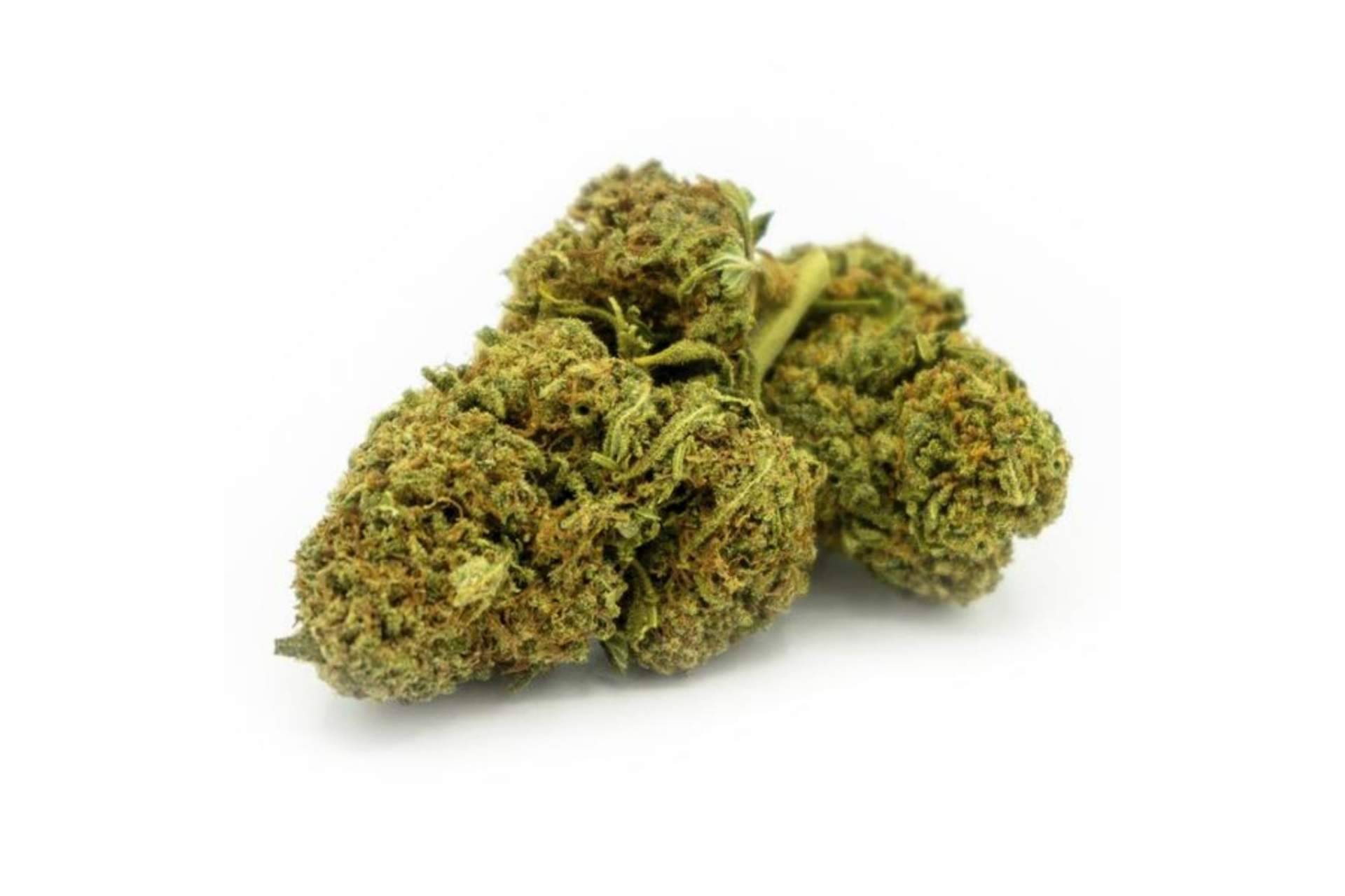 ¿Qué dice el aspecto legal del CBD?: La Mal Querida