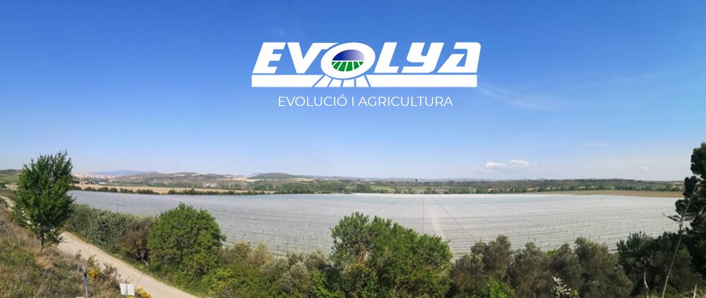 EVOLYA reforça el lideratge en el muntatge de malles contra calamarsades i manté la col·laboració amb CEDEC