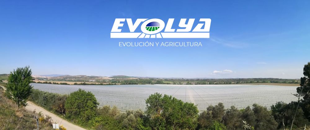EVOLYA refuerza su liderazgo en el montaje de mallas antigranizo mientras mantiene su colaboración con CEDEC