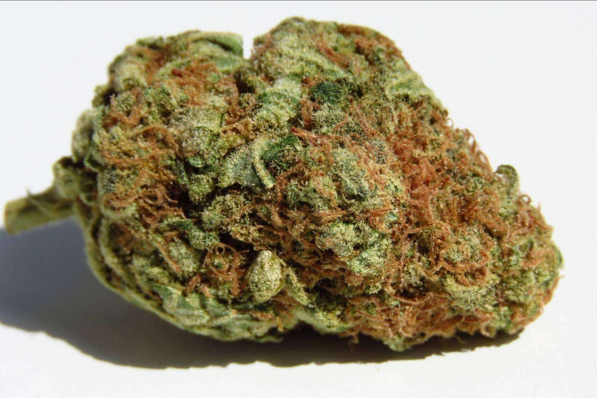 ¿Qué son las flores de cannabidiol?, según De Pata Verde