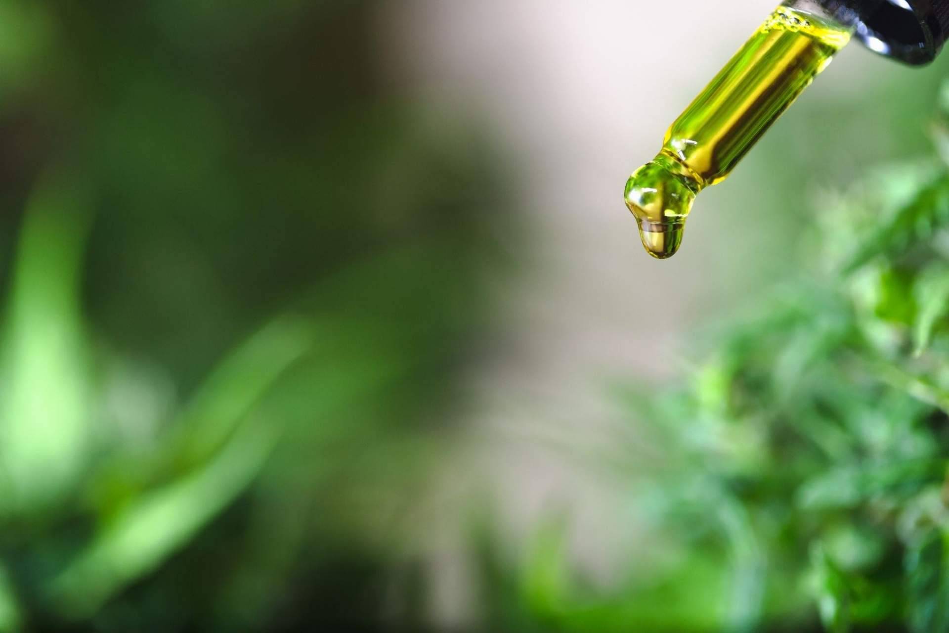 ¿El aceite CBD para tratar molestias musculares funciona?: Premium Legal Hemp
