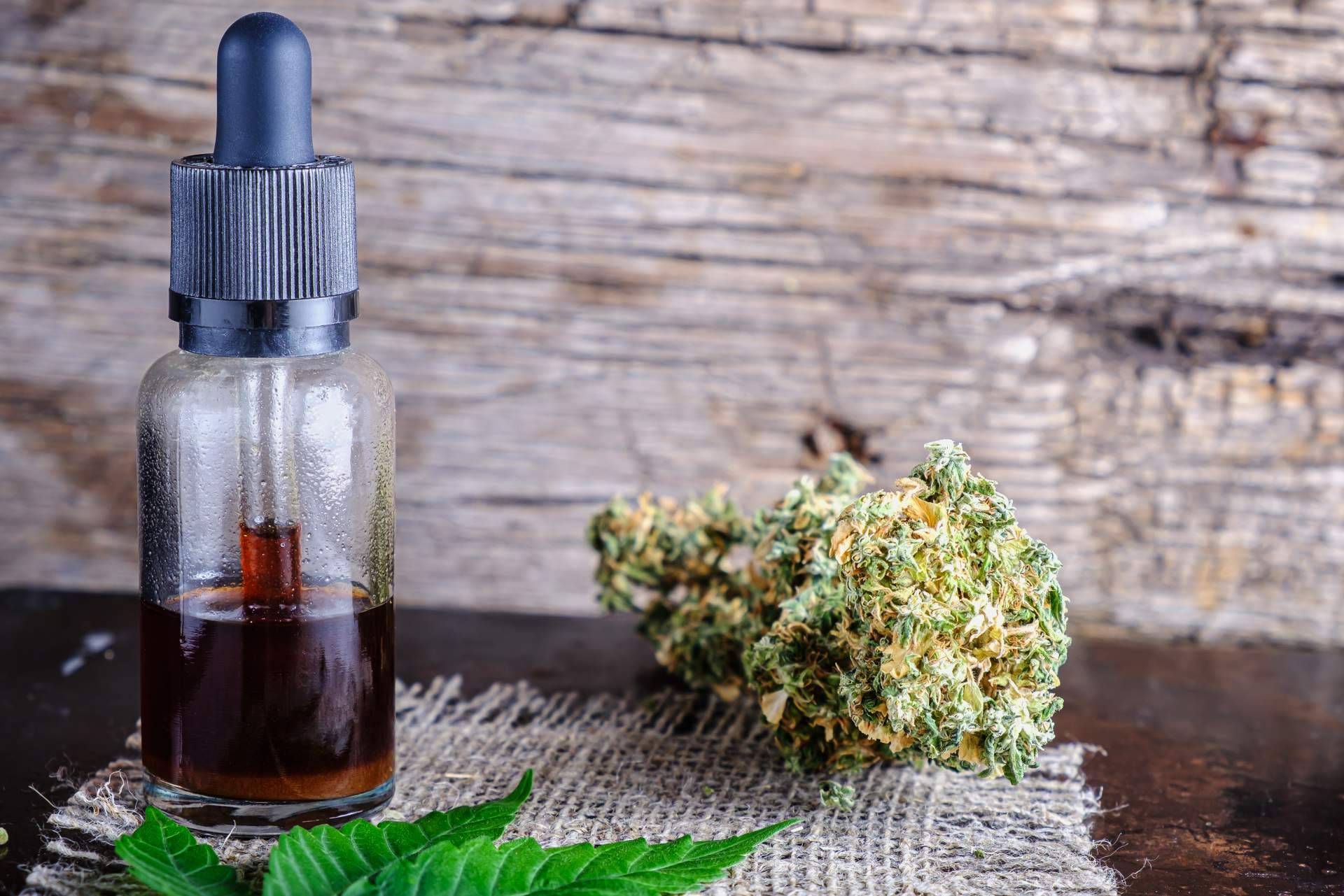 ¿Qué es la resina de cáñamo y cuáles son sus beneficios?: La Mal Querida Sativa
