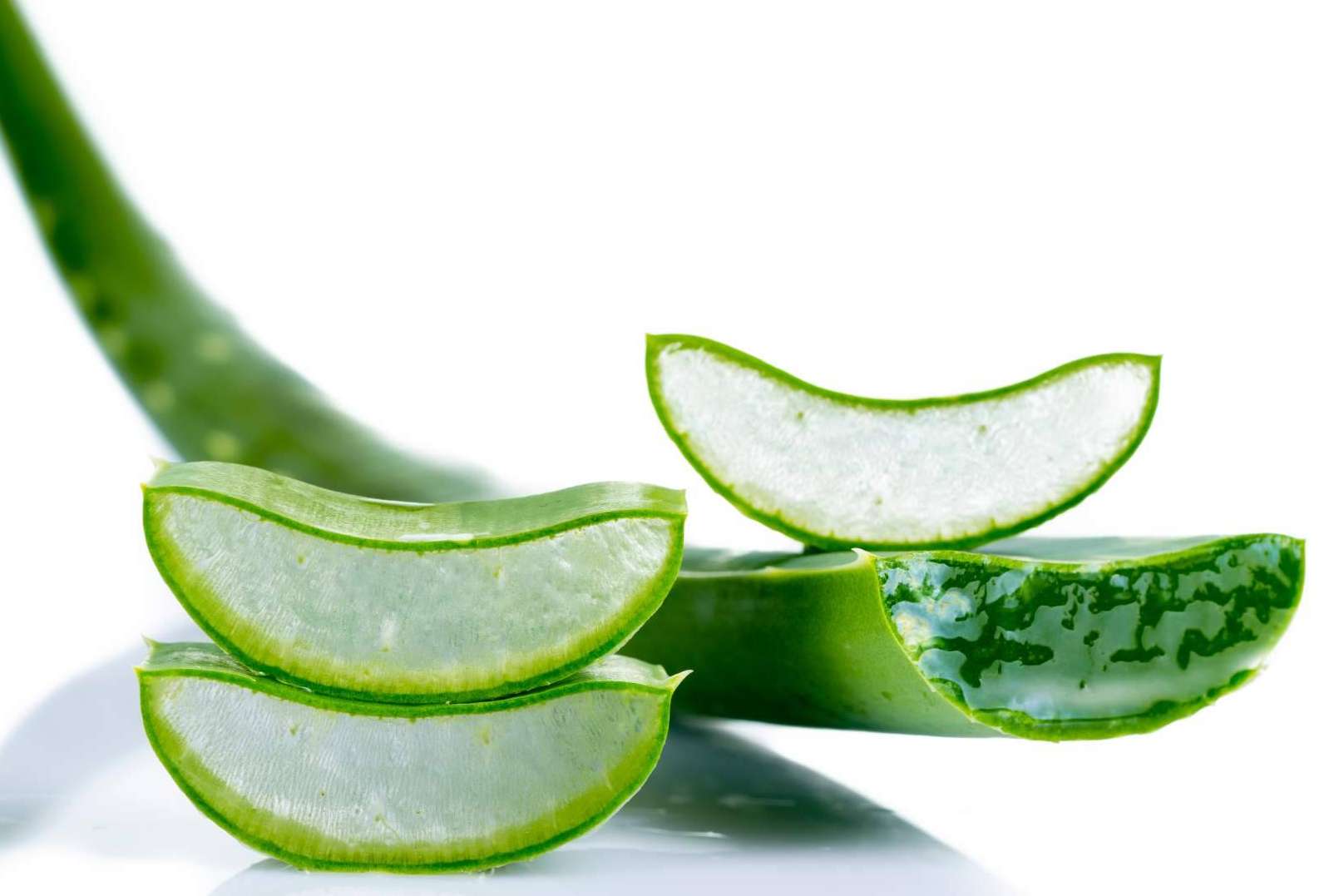 Una gran oportunidad de negocio para los enamorados del aloe vera:  TerritorioAloe