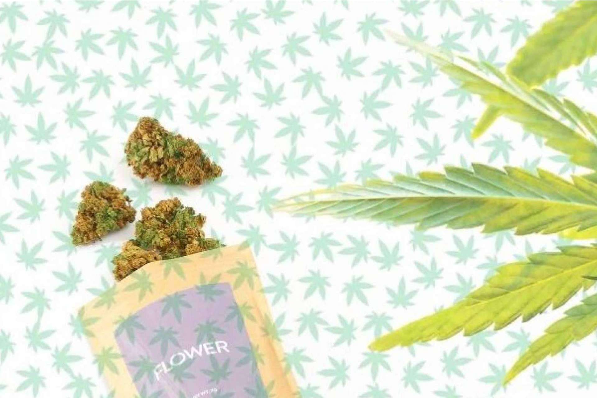 CBD Organics ofrece la posibilidad de comprar flores CBD online