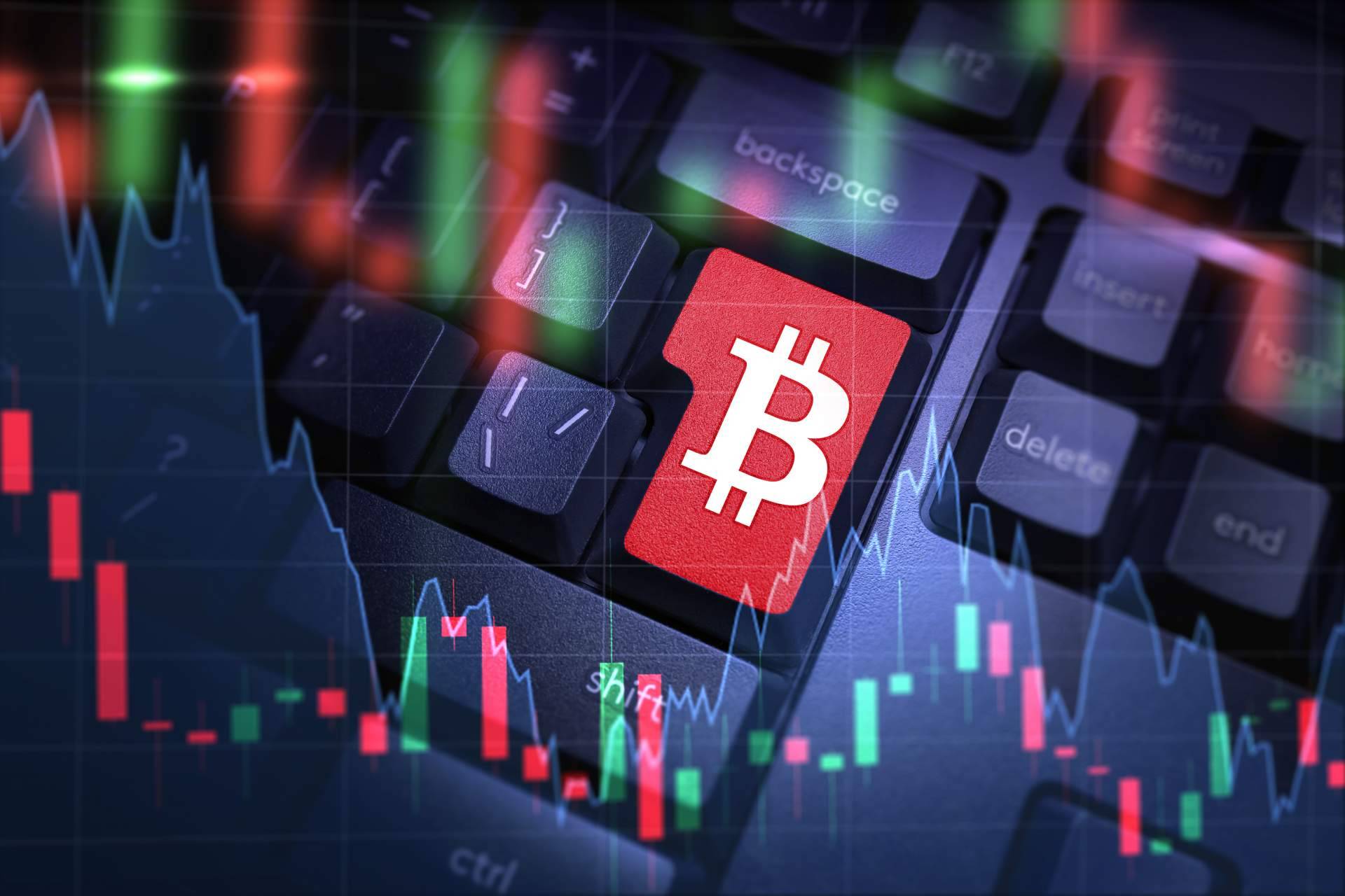 BEUROP otorga ingresos pasivos mediante BEPR, un token con mecanismo de reflexión