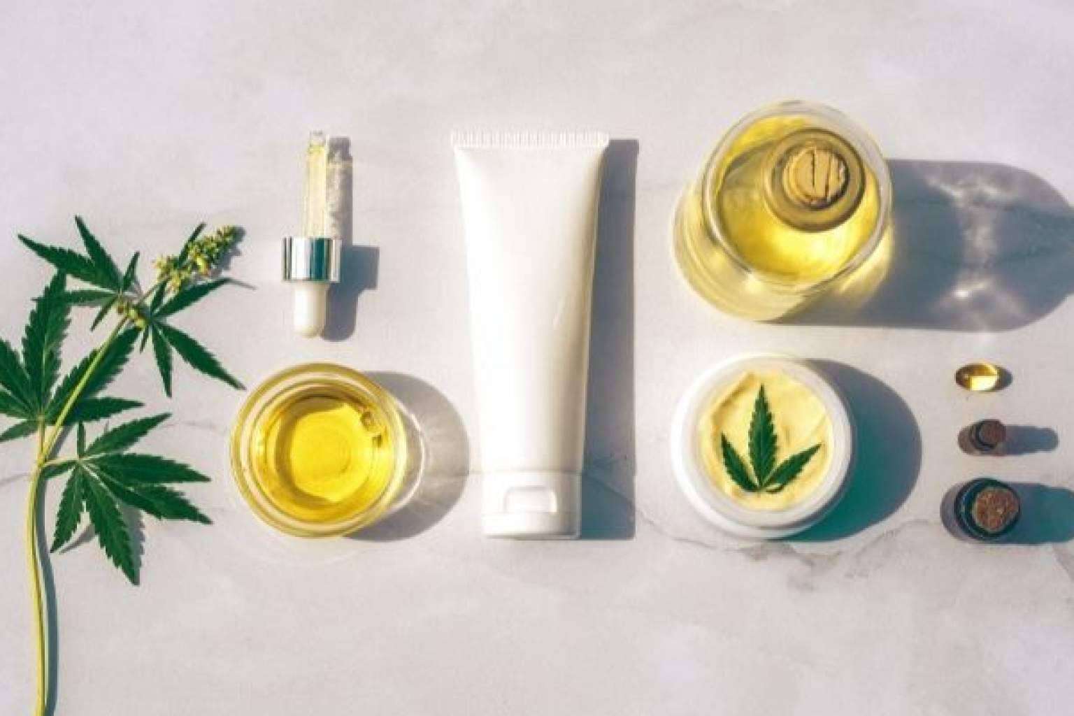 La importancia de comprar aceite CBD en el lugar adecuado, por CBD Organics