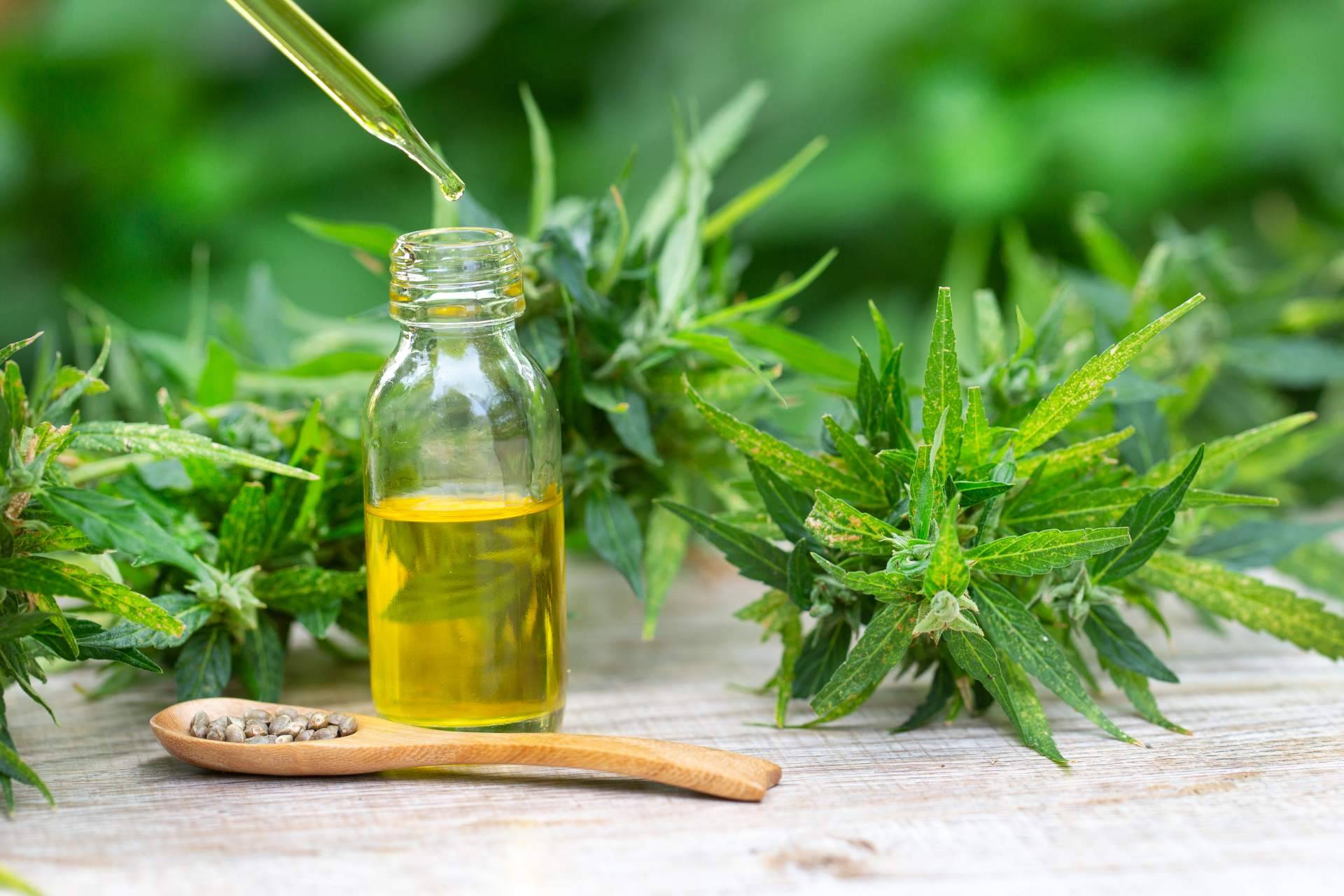 Legal Hemp, aceites de CBD seguros