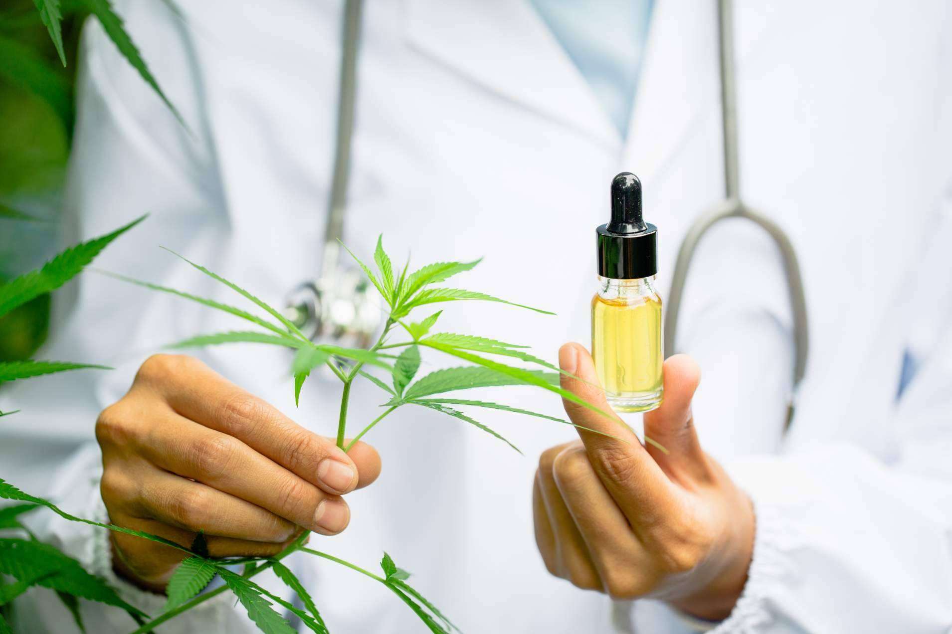 ¿Cuáles son las propiedades del CBD en los productos más destacados de Legal Hemp?