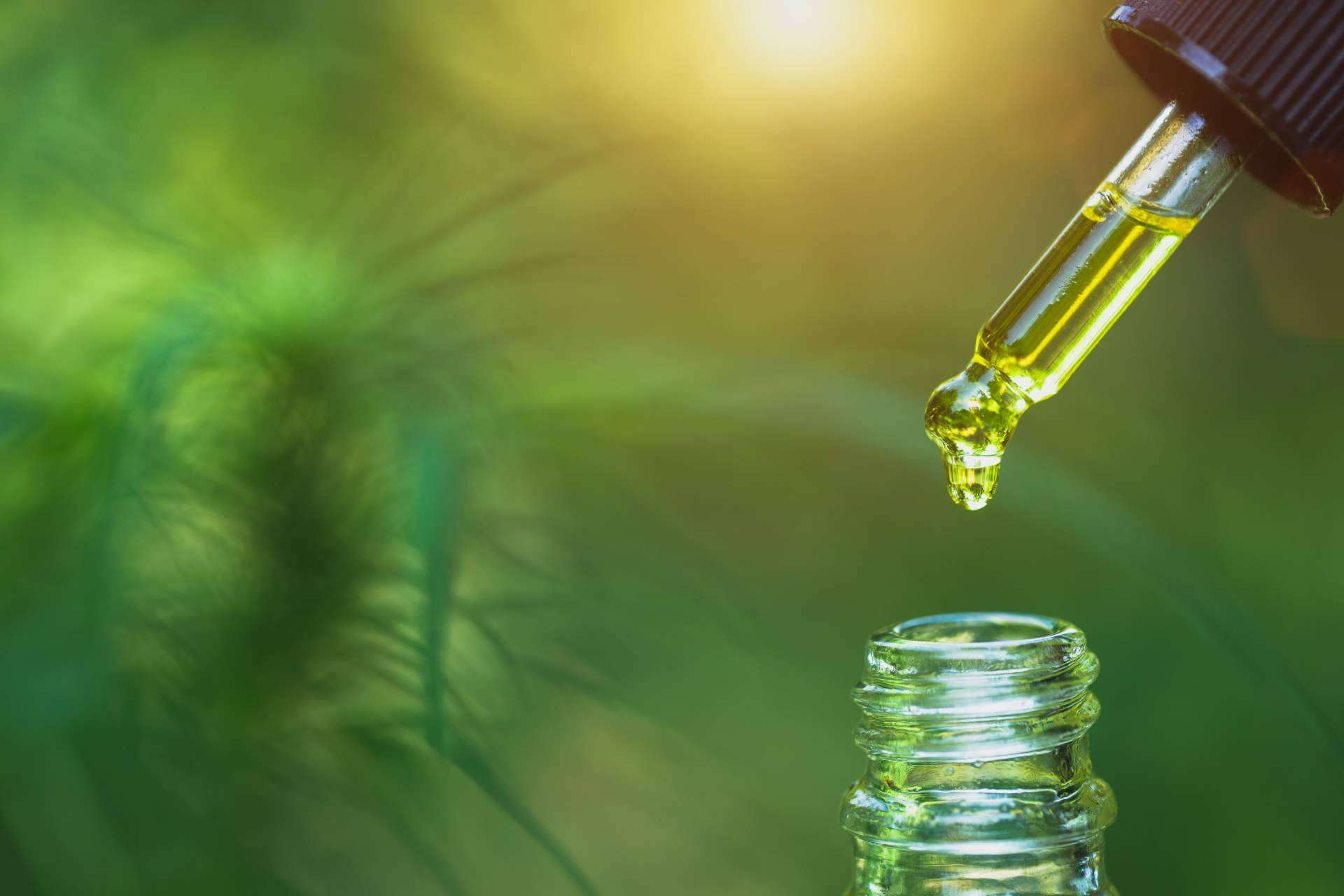 Legal Hemp, cosmética natural a base de aceite CBD