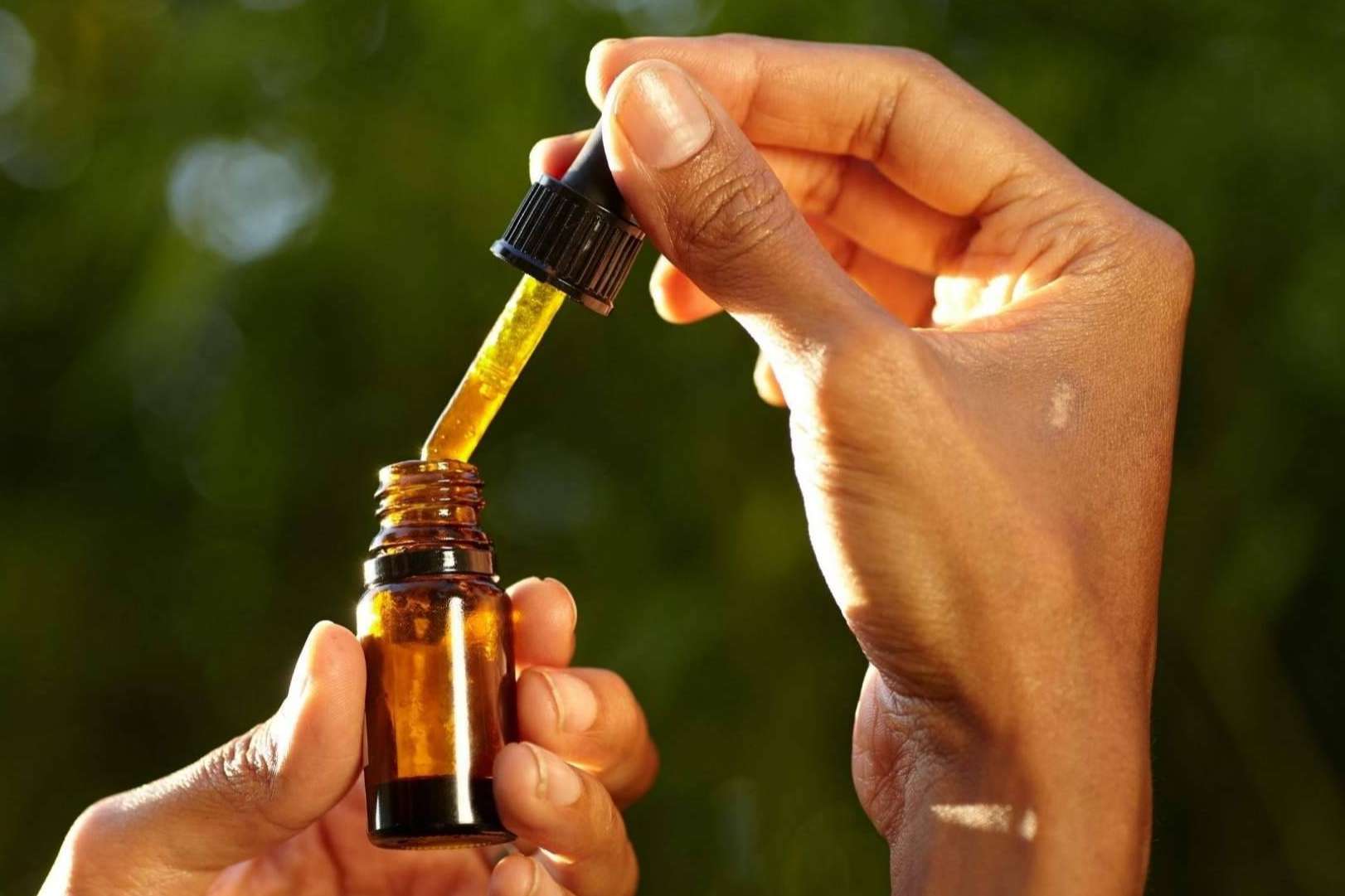 A tú Vera oil y el papel del CBD en tratamientos contra la inflamación, migrañas o dolor muscular