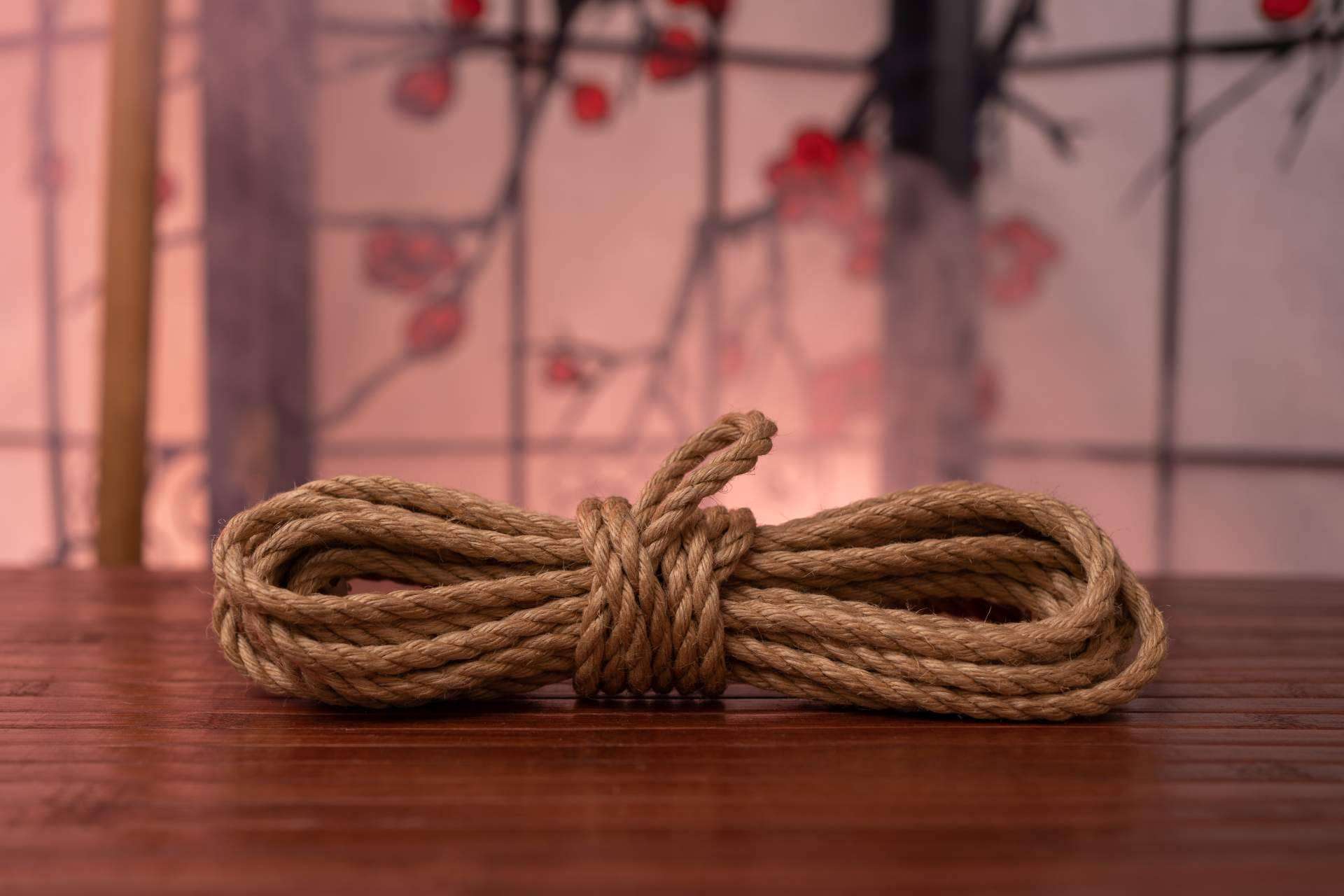 Shibari y kinbaku, My BDSM Store y el arte japonés de la atadura erótica