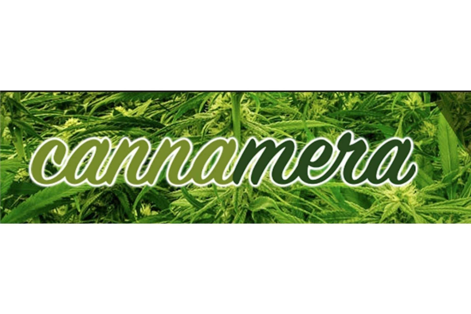 Abrir un dispensario propio o franquicia de productos CBD de manera fácil con TeleCogollo