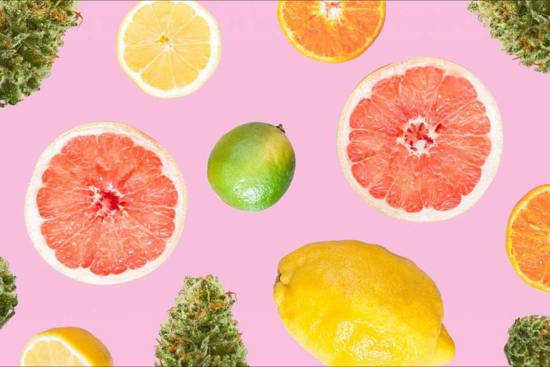 ¿Cuáles son los beneficios del CBD para la piel?