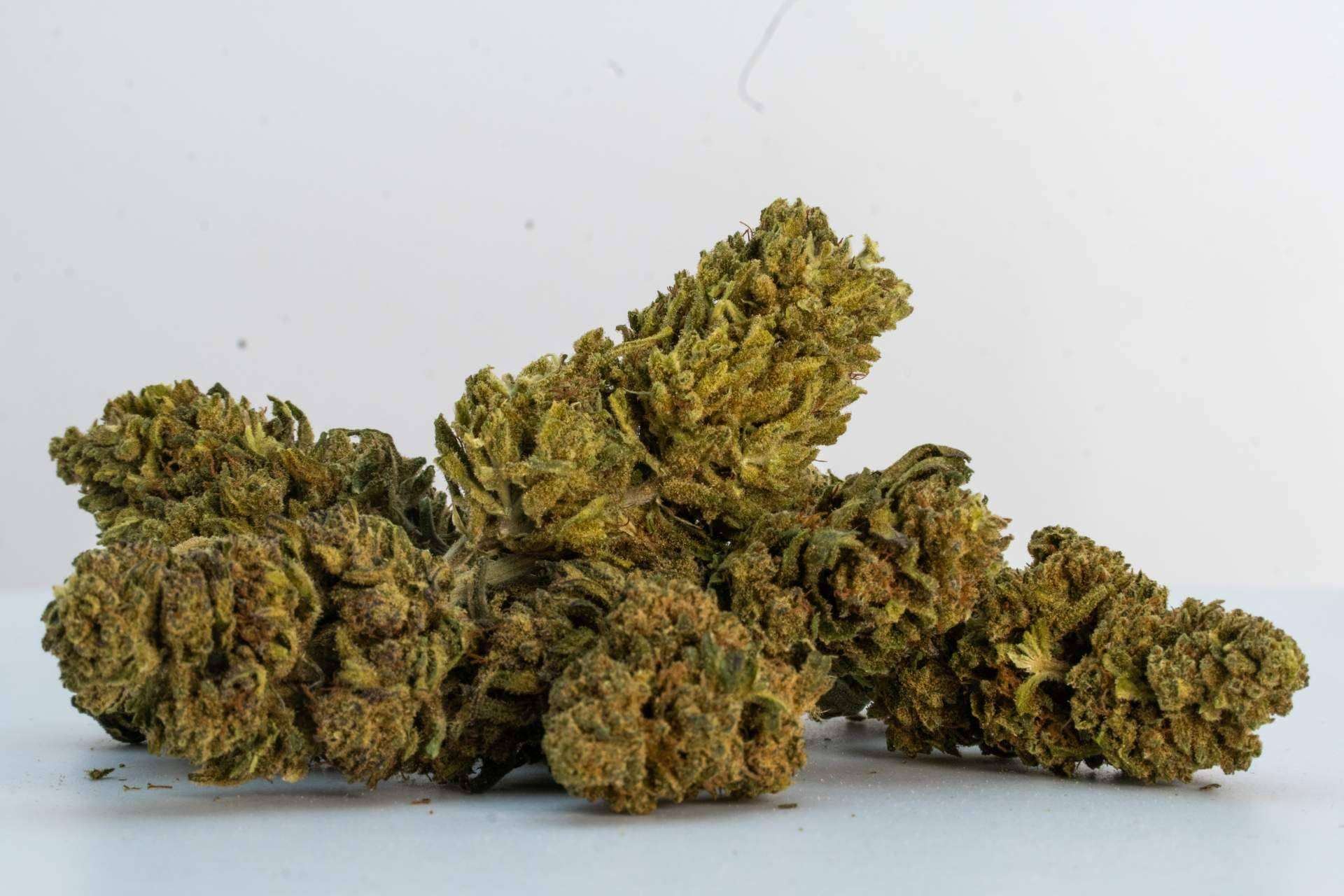 ¿Cómo puede ayudar el CBD a mantener un estilo de vida activo? Ganesh Grow