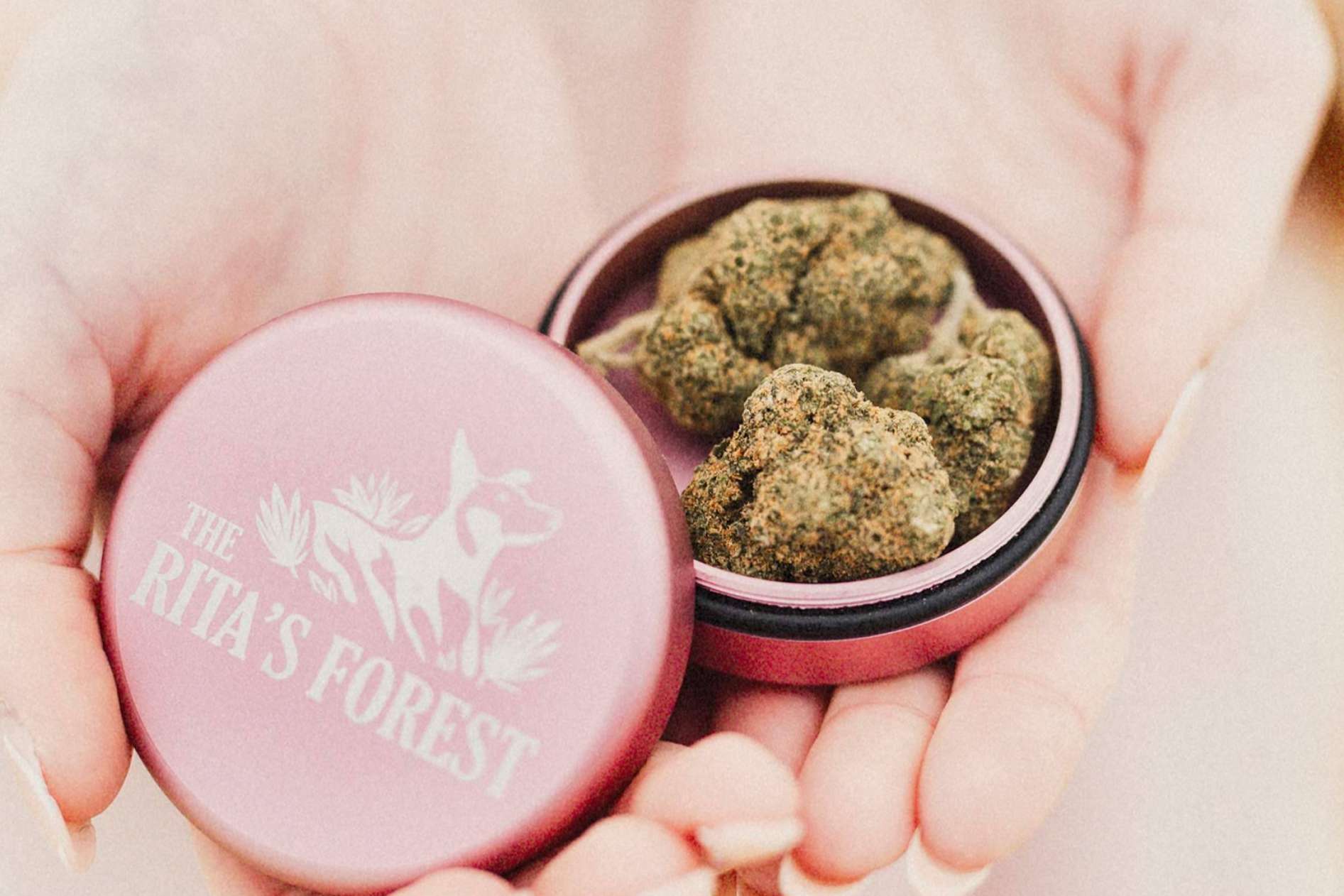 Los principales beneficios del CBD, por The Rita's Forest