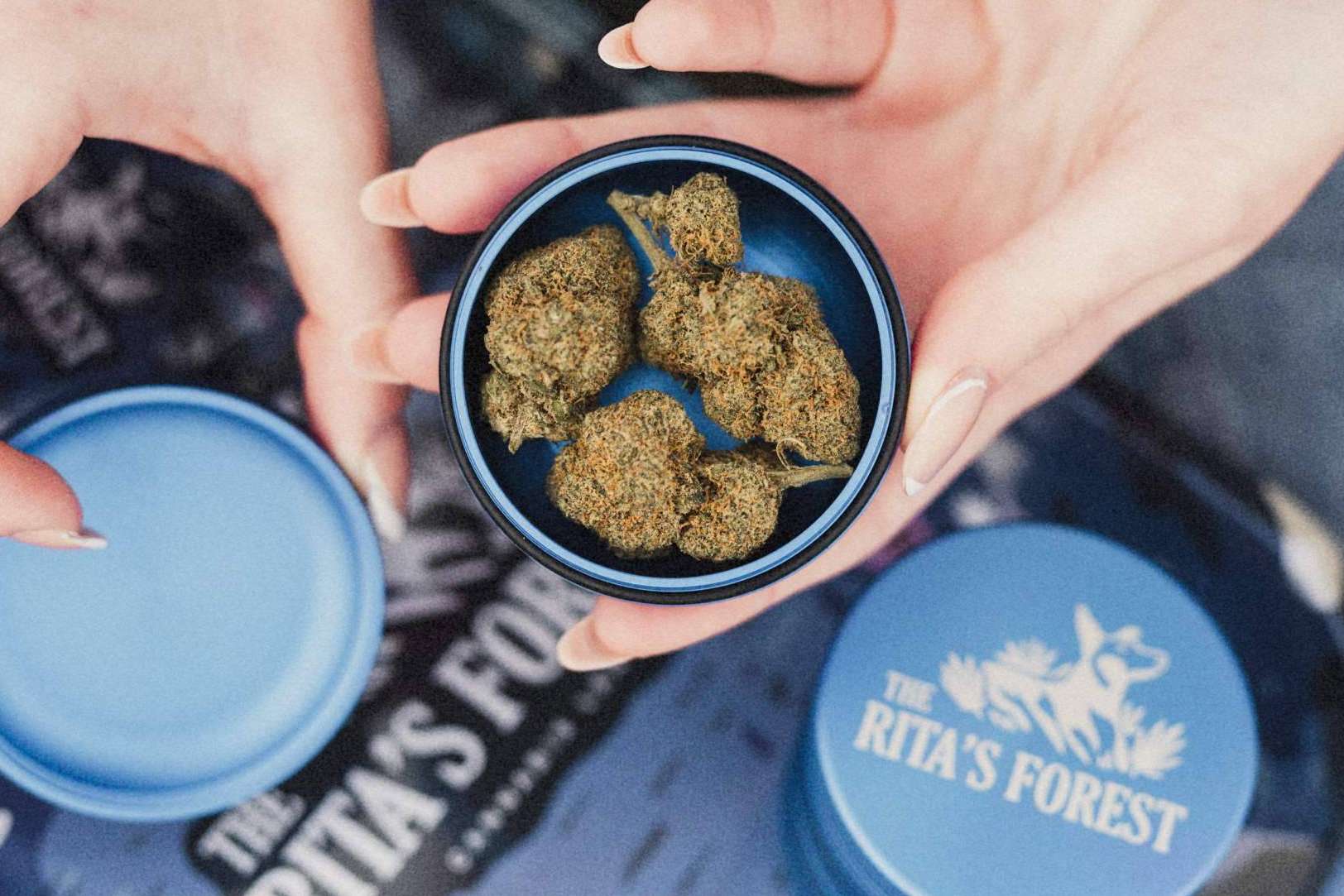 Los beneficios del CBD para dormir, por The Rita's Forest