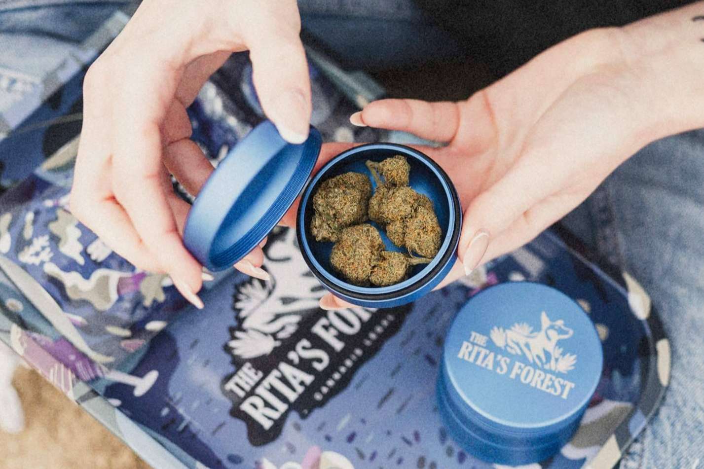 The Rita’s Forest, ¿Cuáles son los beneficios del CBD?