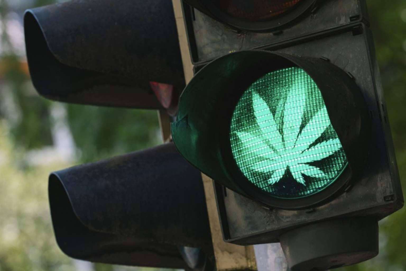 ¿Está permitido conducir bajo los efectos del CBD?, con La Mal Querida
