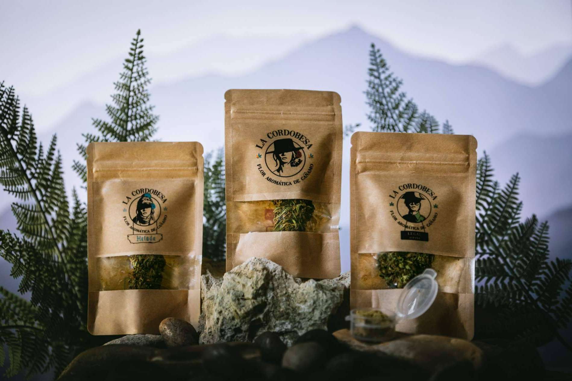 Las flores de CBD La Cordobesa son unas de las más destacadas del mercado