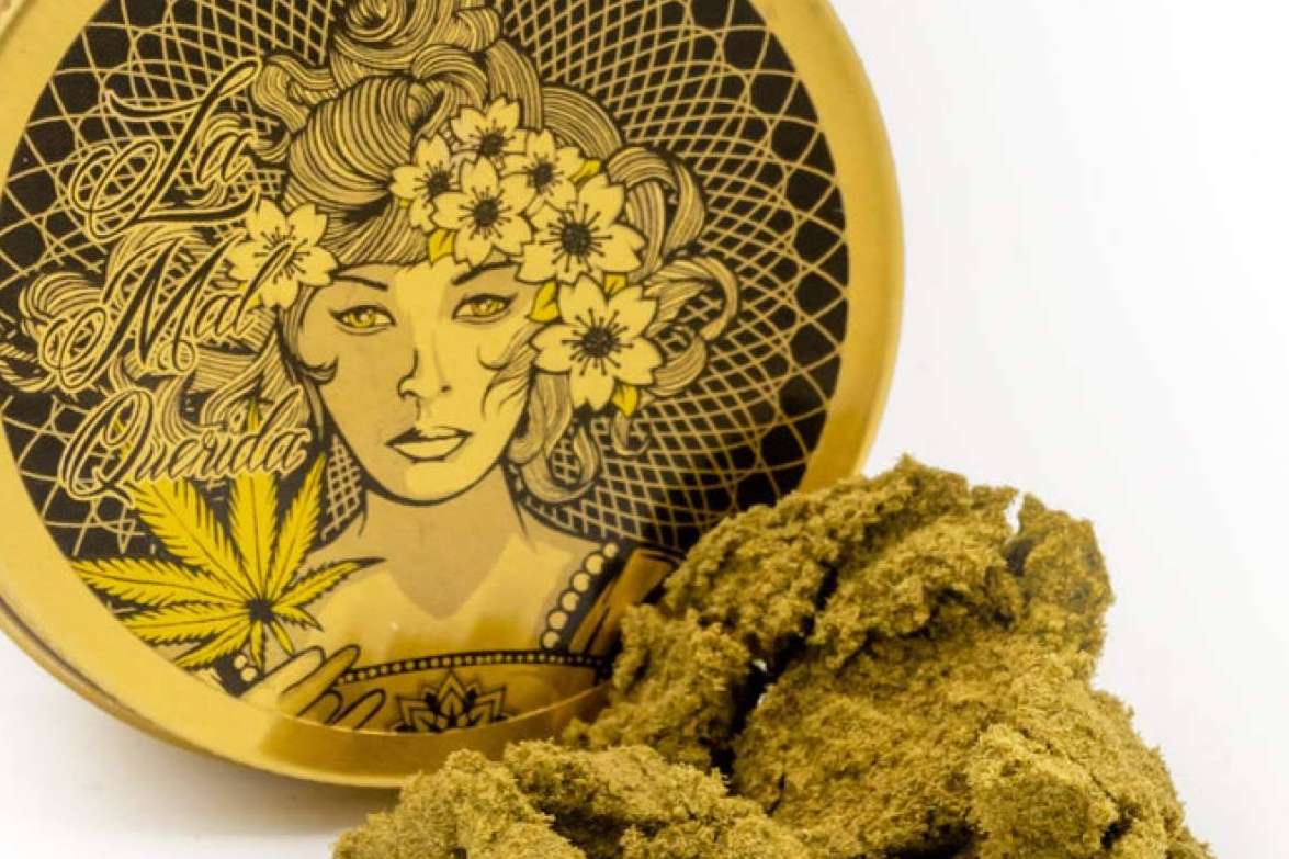 Polen, resinas y hash de La Mal Querida Sativa