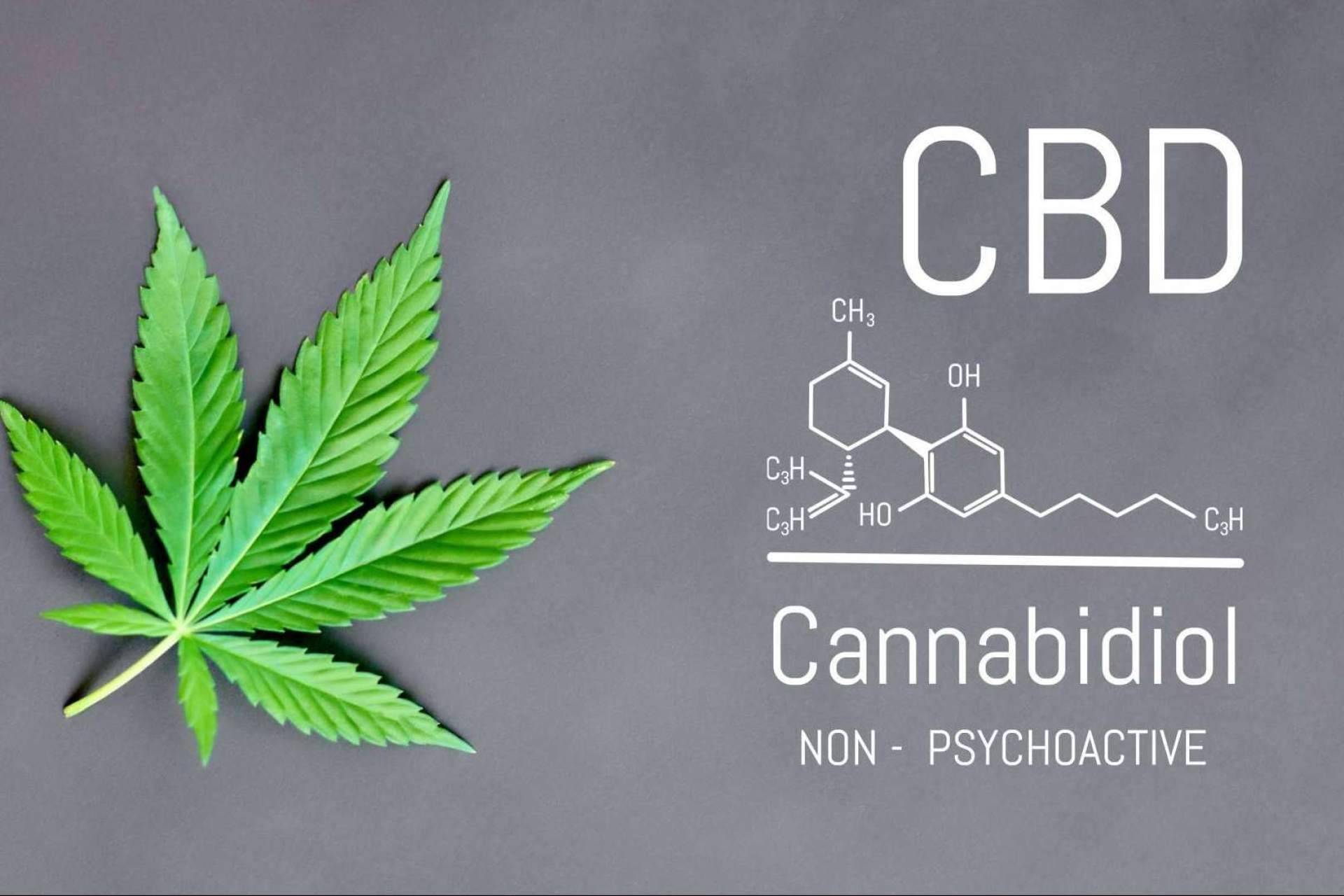 ¿Qué beneficios aporta el CBD?, por Iberian CBD