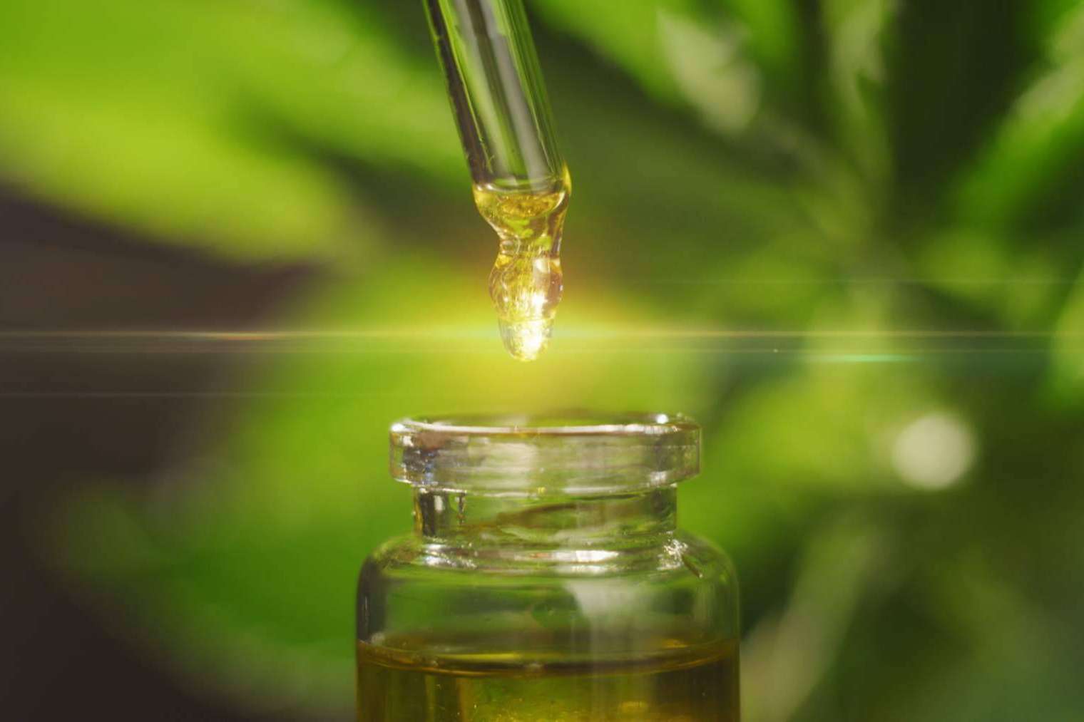 Comprar CBD es posible con Flower Farm