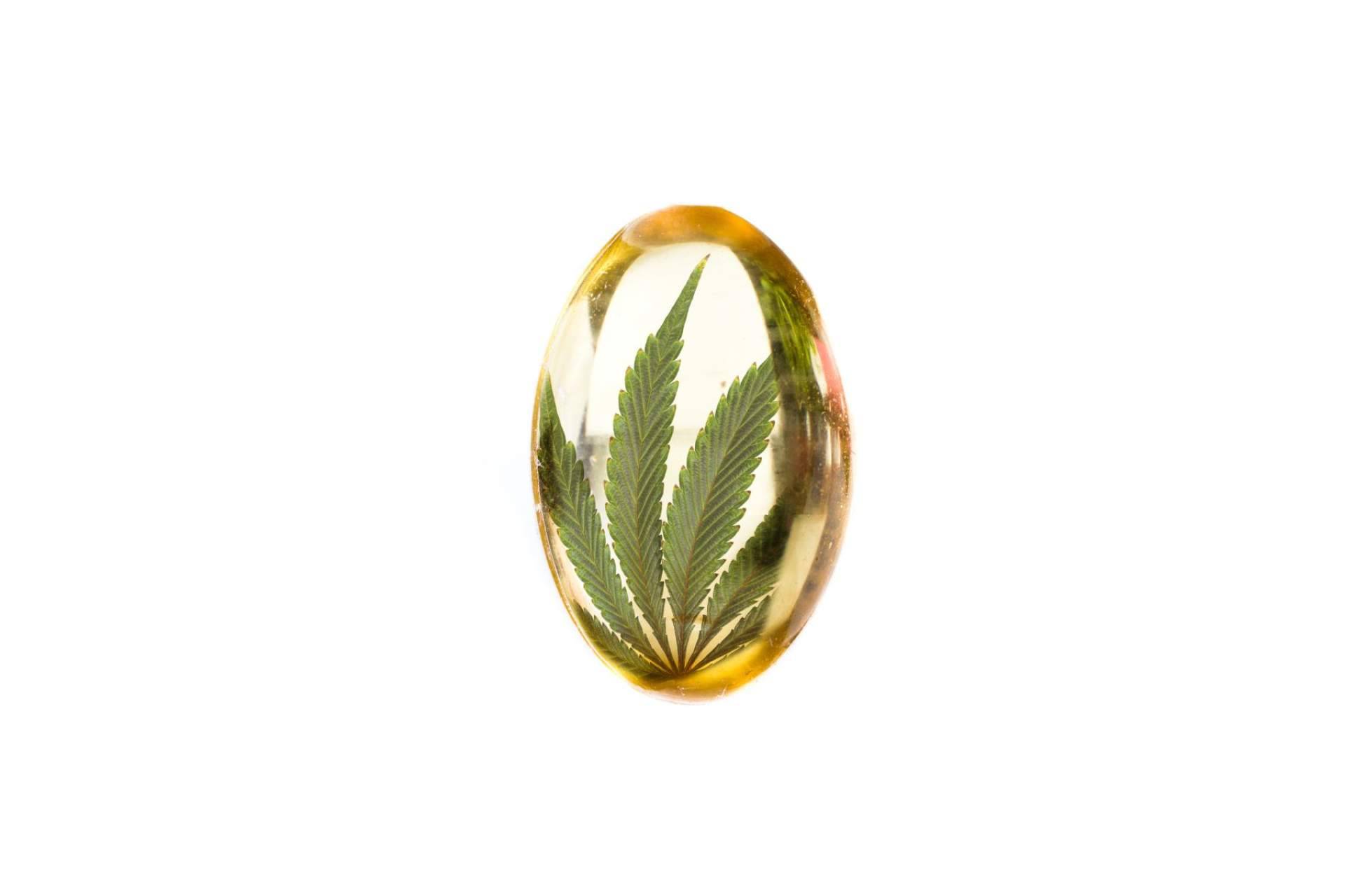 Cuáles son los principales beneficios del CBD para la salud, según Greengos