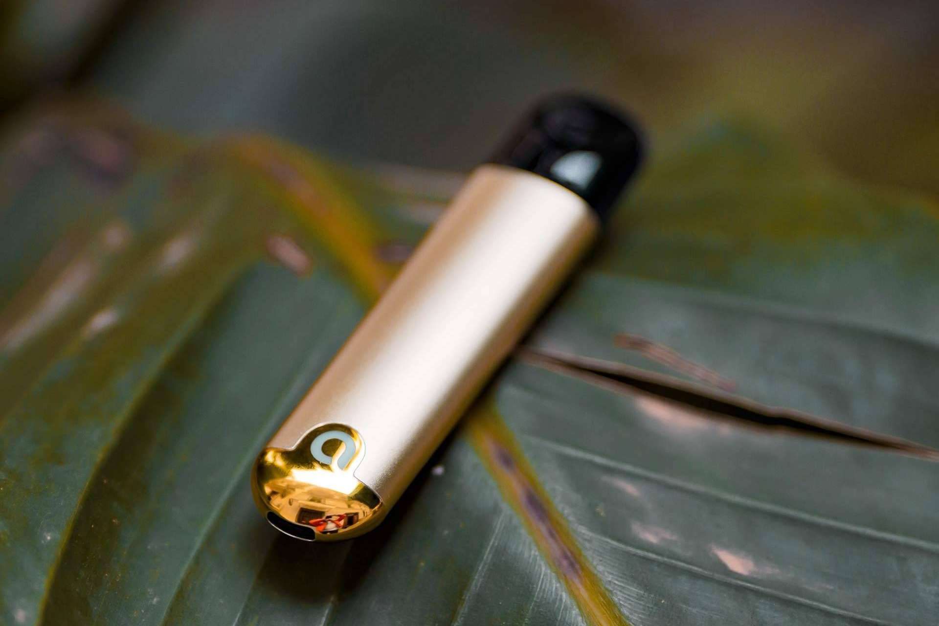 Una gran variedad de vapers de diferentes sabores para complacer cualquier gusto, con Ammo Vaper