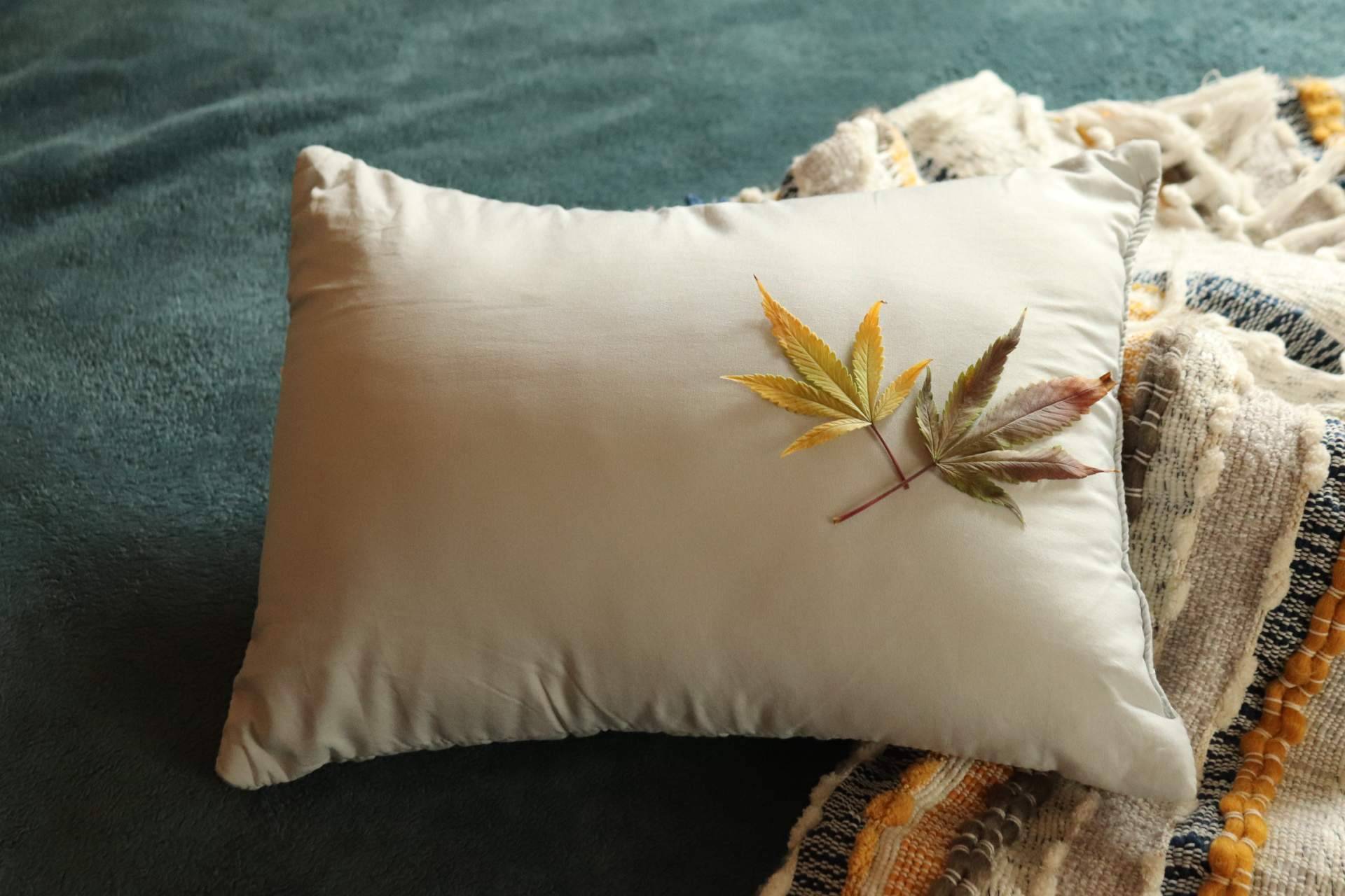 Así actúa el aceite de CBD contra la ansiedad y el insomnio