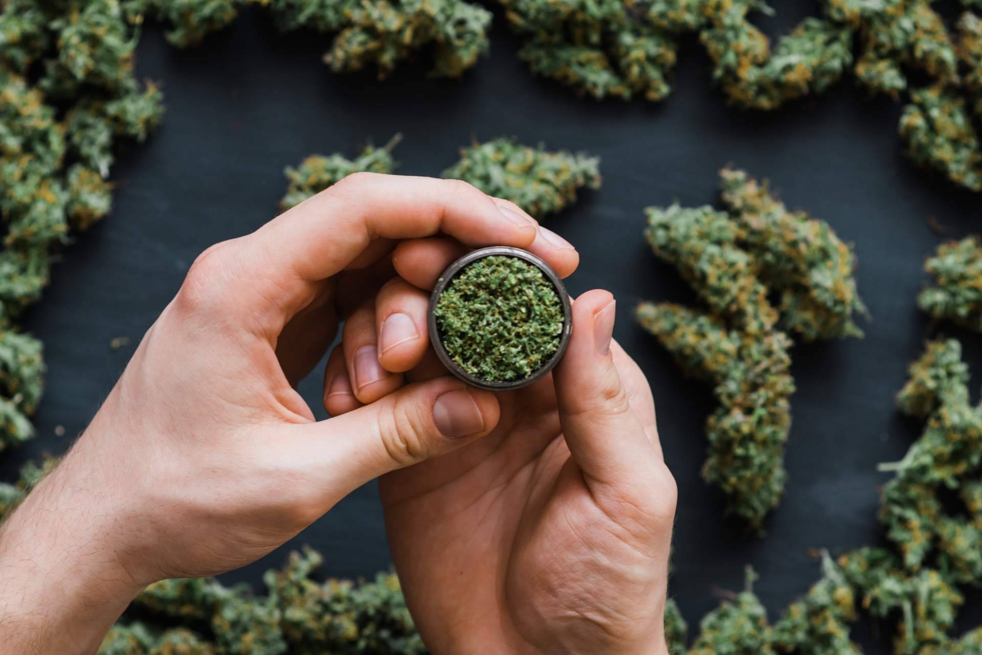 Una de las guías líderes de clubes de cannabis en Barcelona, Cannabis Barcelona