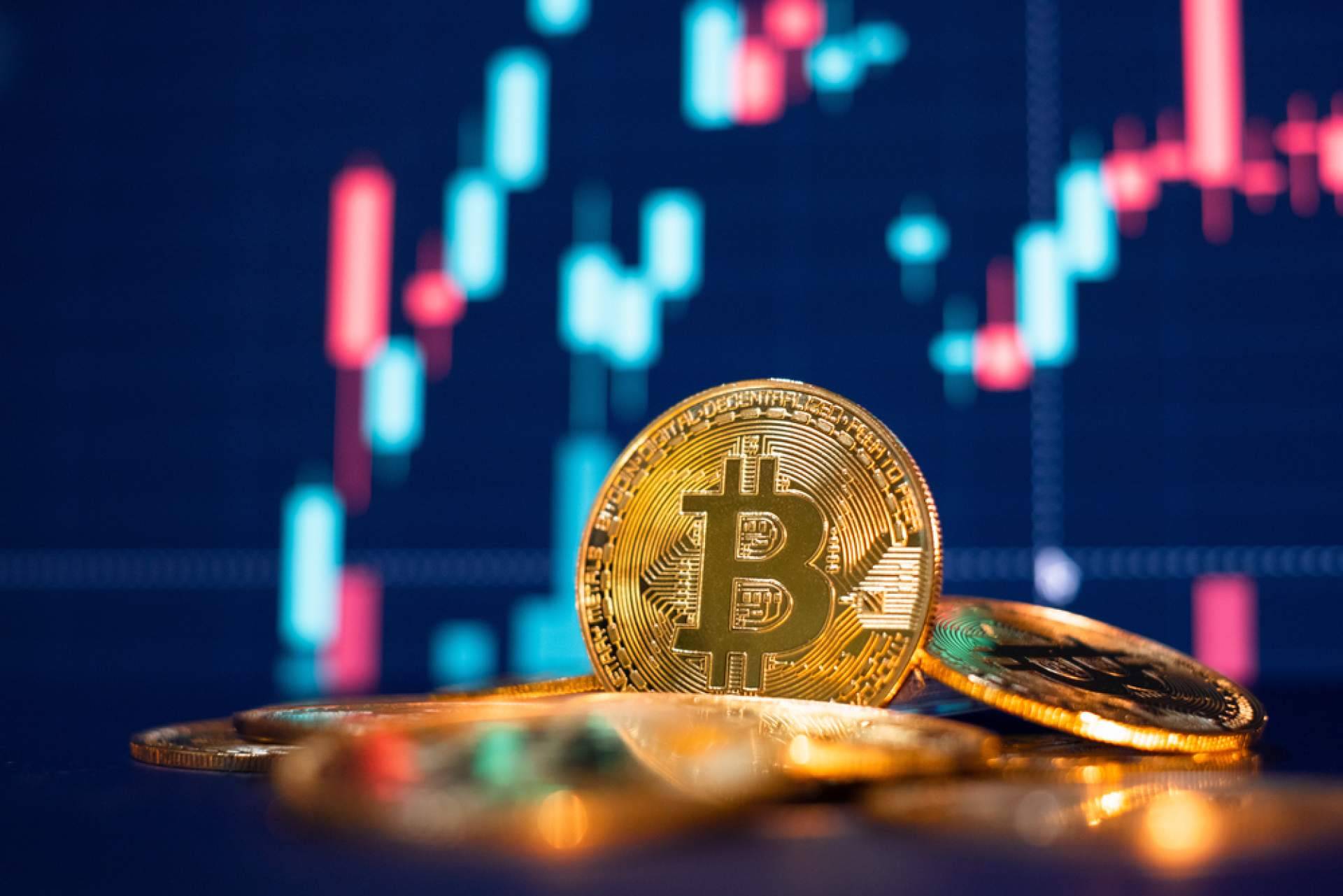 Análisis y comparativa de casinos con criptomonedas en Casino Bee
