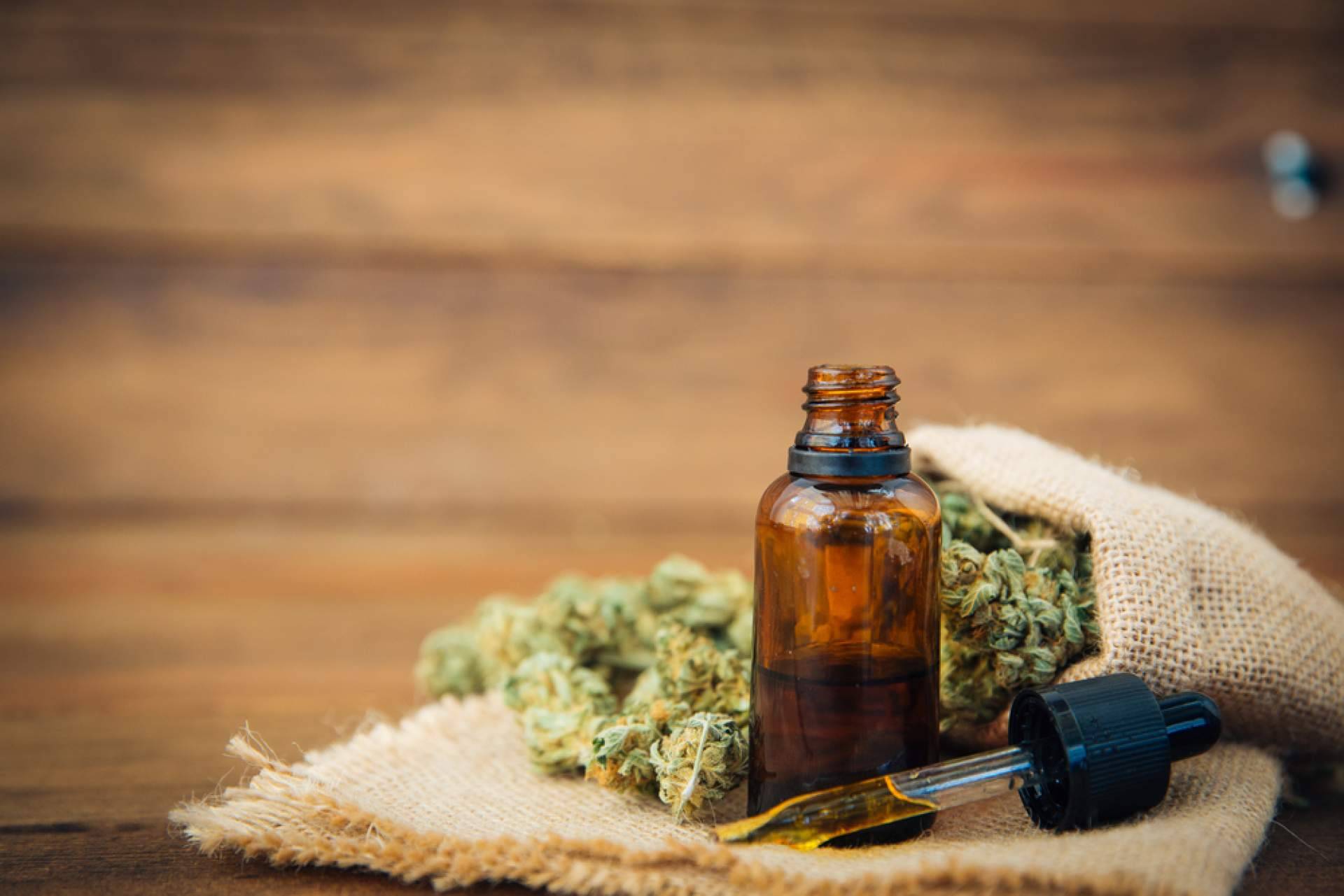 HerbieSeeds es una de las firmas líderes en la venta de semillas de marihuana en España