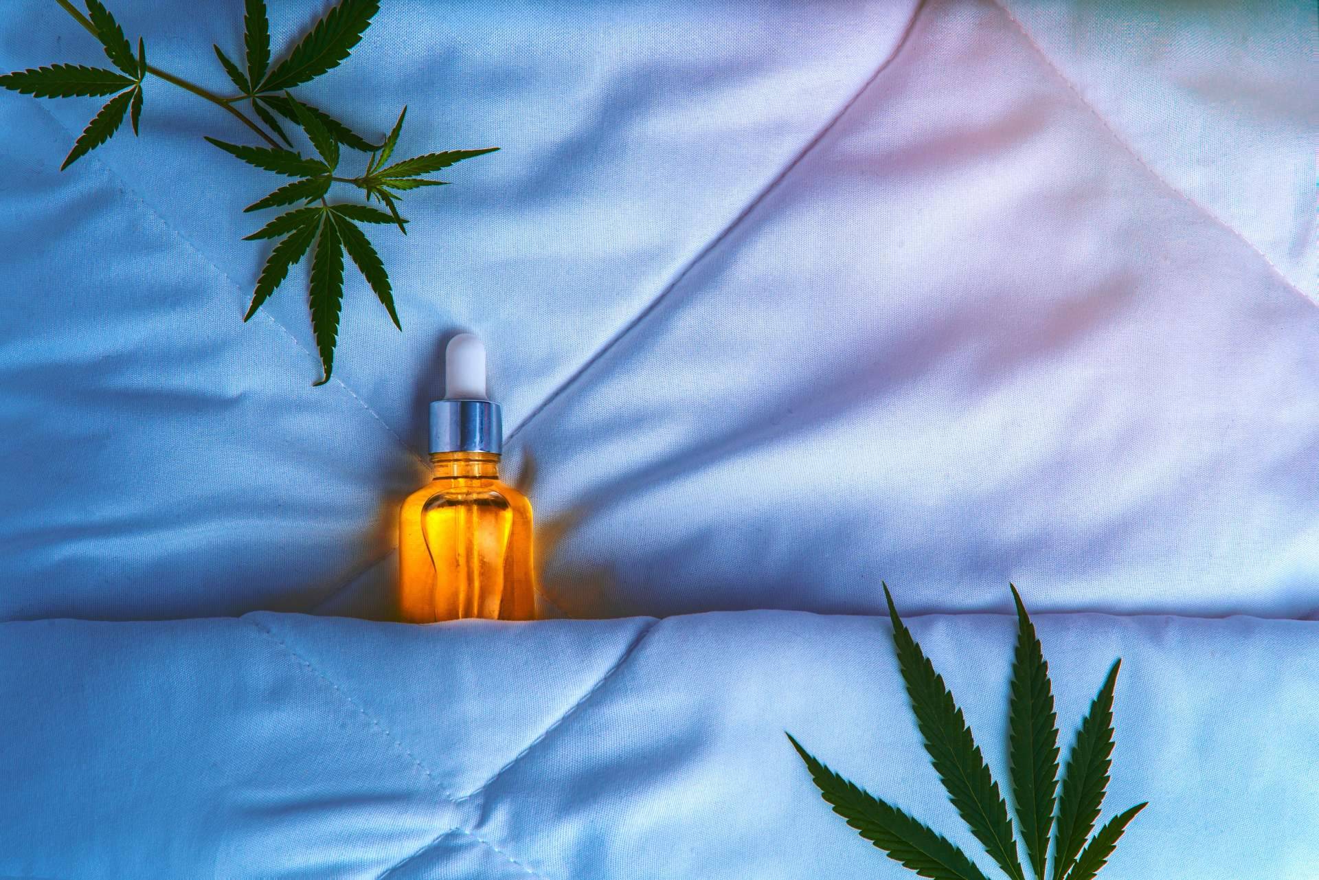 Kannaia, una firma que se va consolidando como referente en productos de CBD de alta calidad
