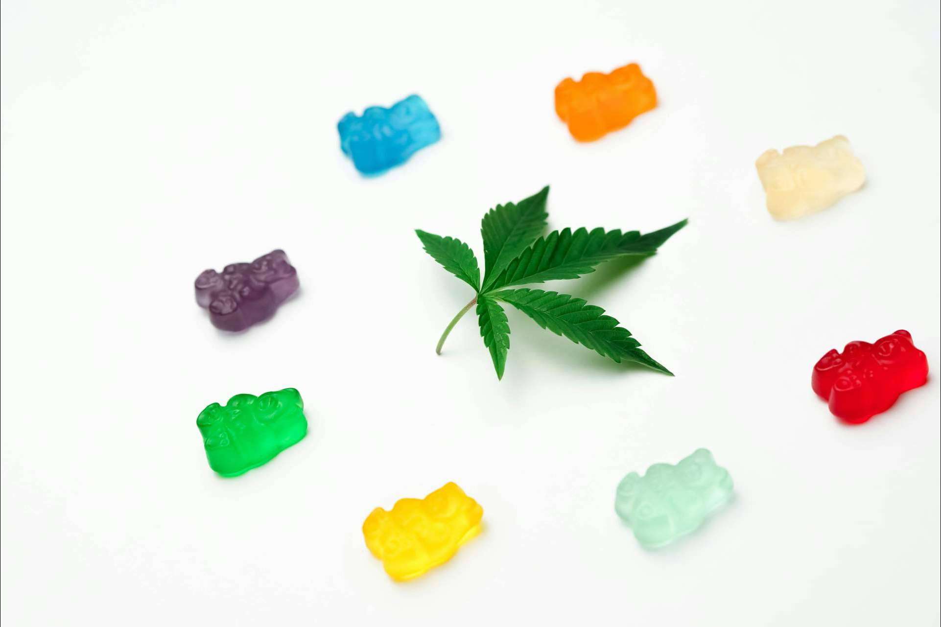 Top 5 comestibles de cannabis en tendencia de marcas americanas