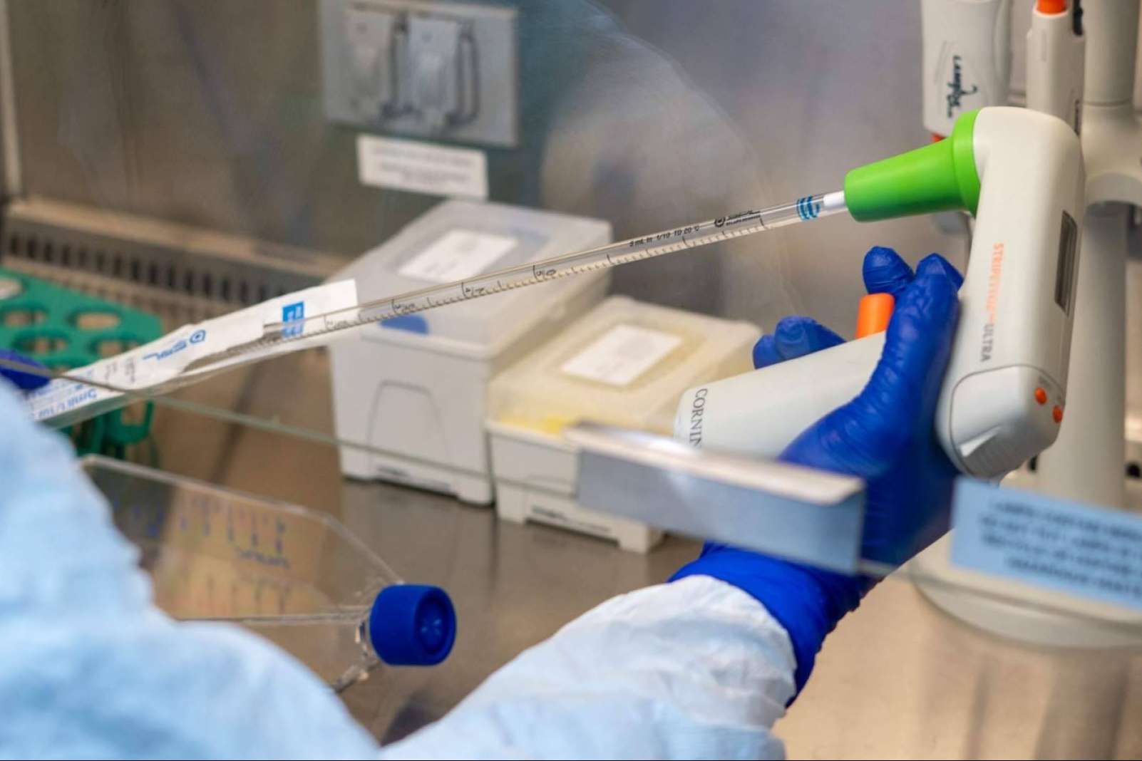 Inmunoterapia DEX y Oncovix, la nueva opción en el tratamiento del cáncer en etapa avanzada