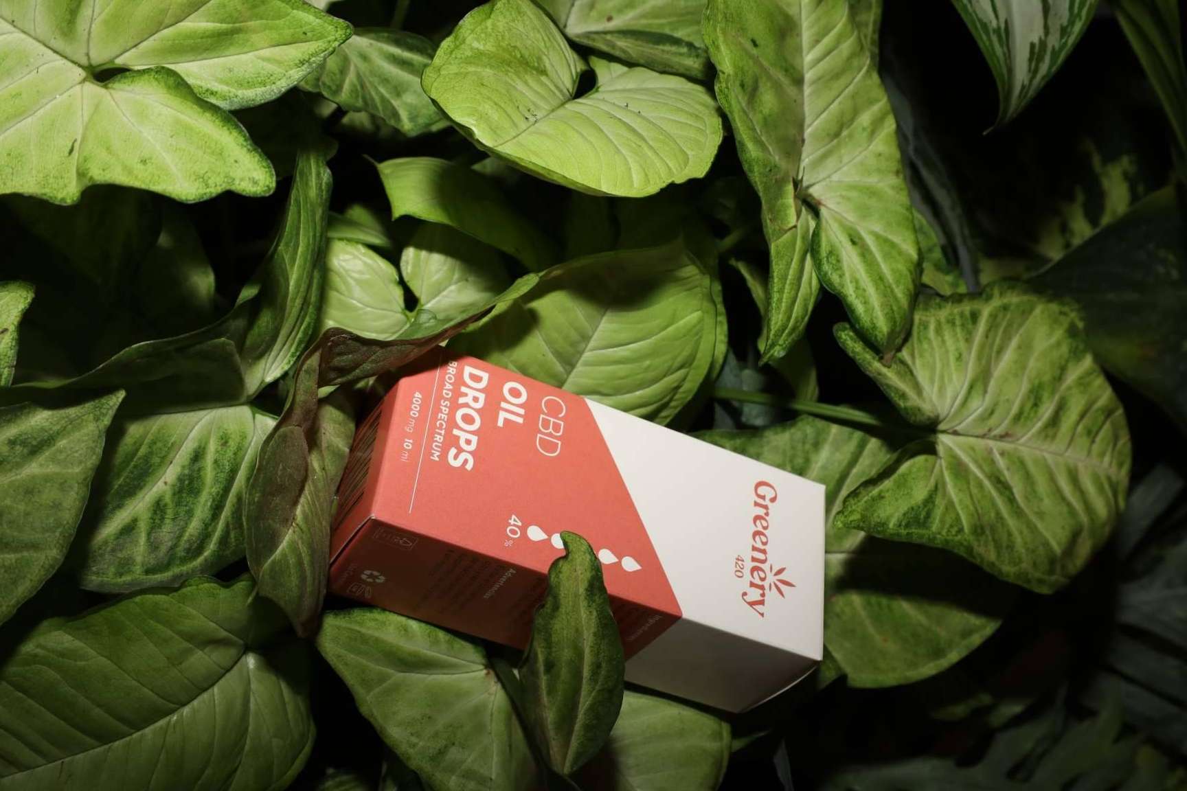 Día del Cannabis, Greenery 420 destaca la necesidad de una regulación clara en España